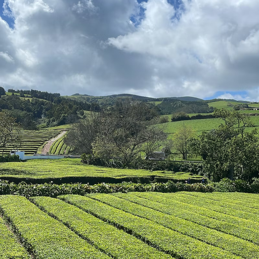 Scenic Landscapes & Skin Care Collide In the Azores